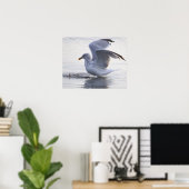 Affiche de photo de mouette (Bureau à domicile)