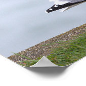 Affiche de photo de mouette (Coin)