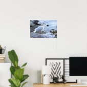 Affiche de photo de mouette (Bureau à domicile)