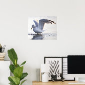 Affiche de photo de mouette (Bureau à domicile)