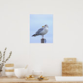 Affiche de photo de mouette (Cuisine)