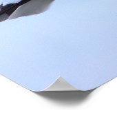 Affiche de photo de mouette (Coin)