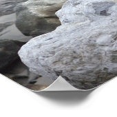 Affiche de photo de mouette (Coin)