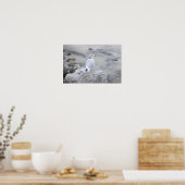 Affiche de photo de mouette (Cuisine)