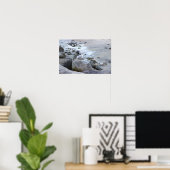 Affiche de photo de mouette (Bureau à domicile)