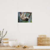 Affiche de photo de paresseux (Cuisine)