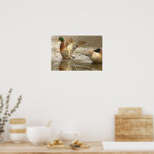Affiche de photo de réflexion de canard colvert (Cuisine)