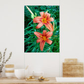 Affiche de photo d'impression de fleur d'hémérocal (Cuisine)