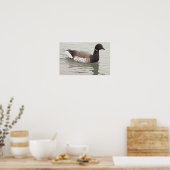 Affiche de photo d'oie Brant (Cuisine)