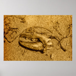 Affiche de photo monochrome de pince de homard de