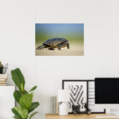 Affiche de photo rapprochée de tortue / amphibien (Bureau à domicile)