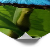 Affiche de photographie de la nature du papillon M (Coin)