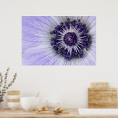 Affiche de photographie macro de l'anémone pourpre (Cuisine)