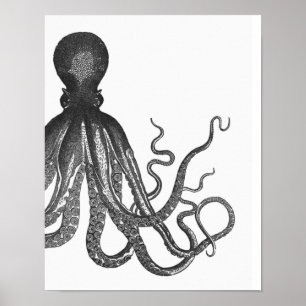 Affiche de pieuvre moderne noir et blanc