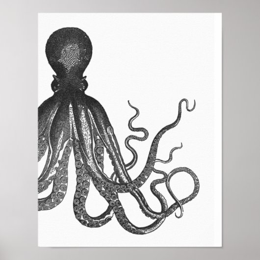 Affiche de pieuvre moderne noir et blanc (Devant)
