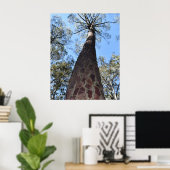 Affiche de pin Ponderosa La Gerche (Bureau à domicile)