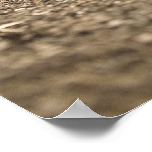 Affiche de piste (Coin)