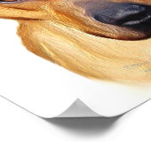 Affiche de Pitbull (Coin)