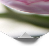 affiche de pivoines roses (Coin)