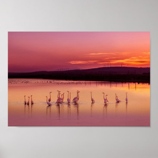 Affiche de plage (Devant)