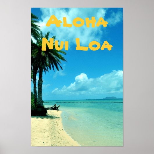 Affiche de plage Pittoresque Tropical Hawaii (Devant)