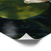 AFFICHE DE POISSON KOI (Coin)