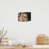 Affiche de Poméranie (Cuisine)