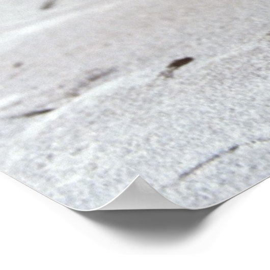 affiche de pommes (Coin)