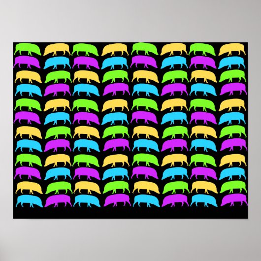 Affiche de porcs multicolores (Devant)