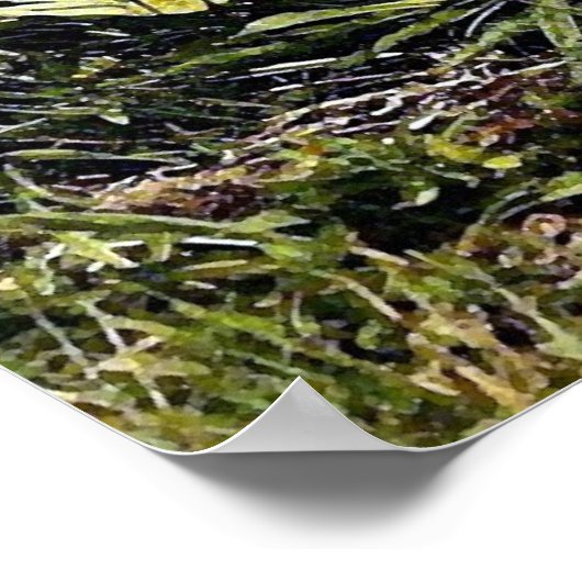 Affiche de portrait Alligator Imprimer (Coin)