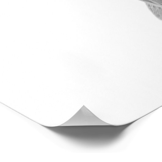 Affiche de portrait d'animal du désert de cerf mul (Coin)