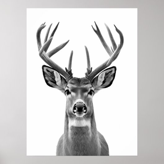 Affiche de portrait d'animal du désert de cerf mul (Devant)