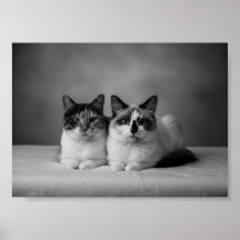 Affiche de portrait de animal de compagnie personn