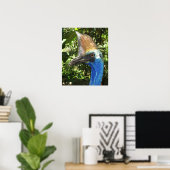 Affiche de portrait de casoar (Bureau à domicile)