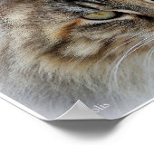 Affiche de portrait de chat tabby à poils longs (Coin)