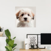 Affiche de portrait de chien havanais mignon (1) (Bureau à domicile)