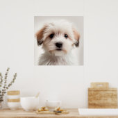 Affiche de portrait de chien havanais mignon (1) (Cuisine)