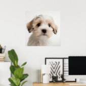 Affiche de portrait de chiot Havanais mignon (2) (Bureau à domicile)