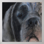 Affiche de portrait pastel du Grand Danois bleu (Devant)