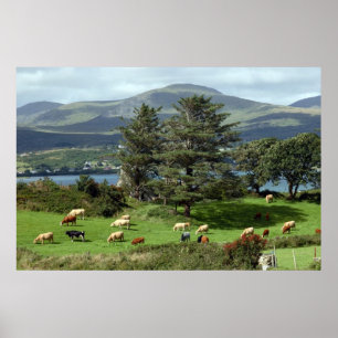 affiche de pré d'île