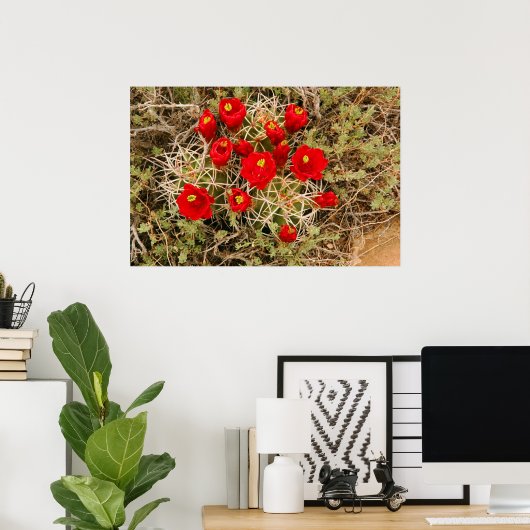 Affiche de Prickly Pear Cactus (Bureau à domicile)