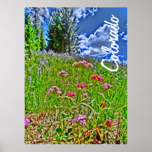 Affiche de printemps du Colorado