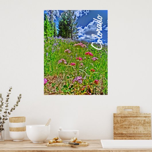 Affiche de printemps du Colorado (Cuisine)