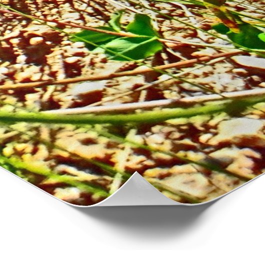 Affiche de printemps du Colorado (Coin)