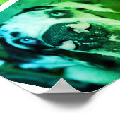 Affiche de promotion Great Dane Kennel (Coin)