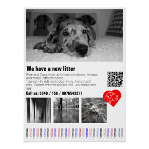 Affiche de prospectus de chiot Great Dane Designer
