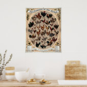 Affiche de races de poulets vintage (Cuisine)