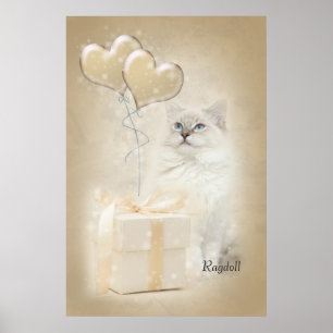 Affiche de Ragdoll