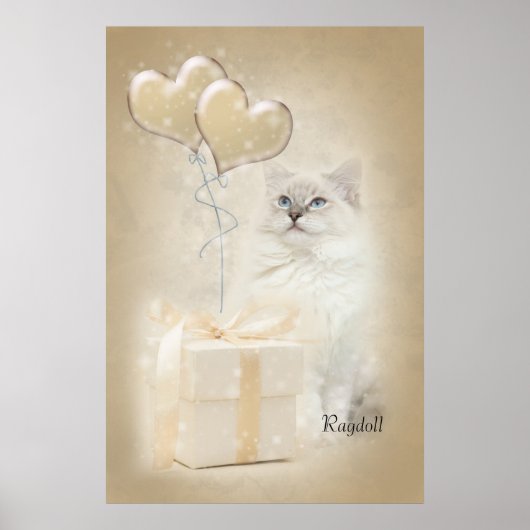 Affiche de Ragdoll (Devant)