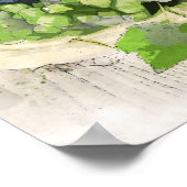 affiche de raisins et de vin (Coin)